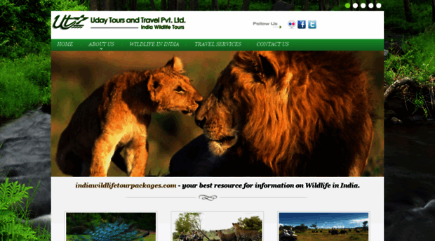 indiawildlifetourpackages.com