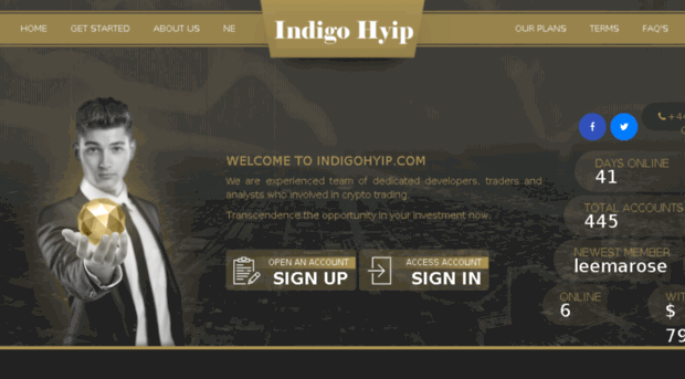 indigohyip.com