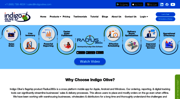 indigoolive.com