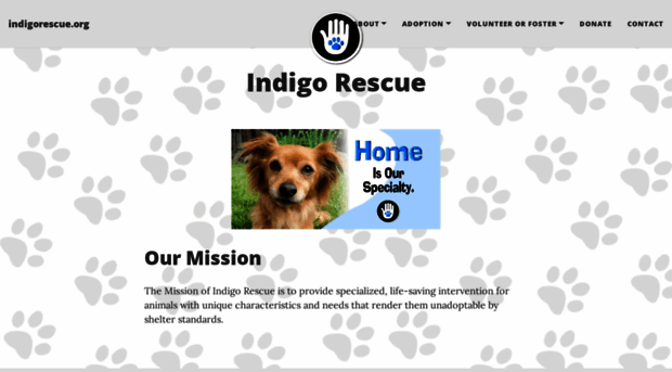 indigorescue.org