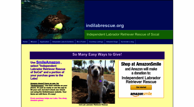 indilabrescue.org