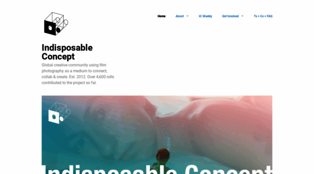 indisposableconcept.com