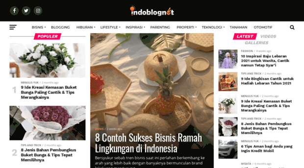 indoblognet.com