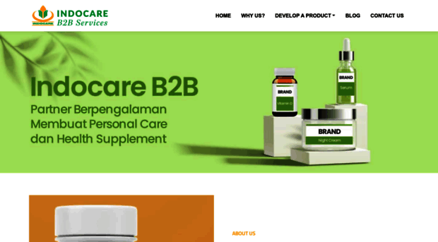 indocareb2b.com