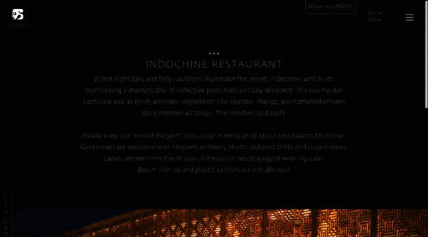 indochine.nizuc.com