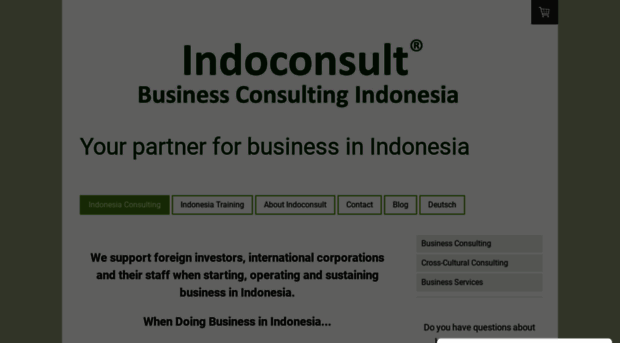 indoconsult.de