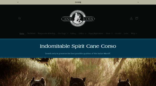 indomitablespiritcanecorso.com