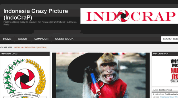 indonesiacrazypicture.com