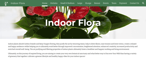 indoorflora.in