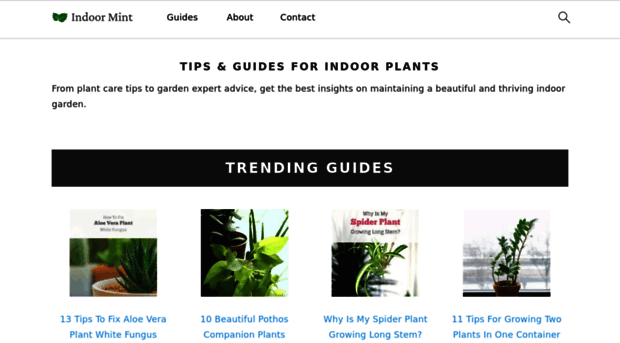 indoormint.com