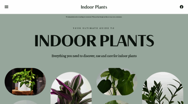 indoorplants.com