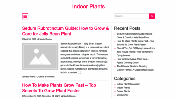 indoorplants24.com