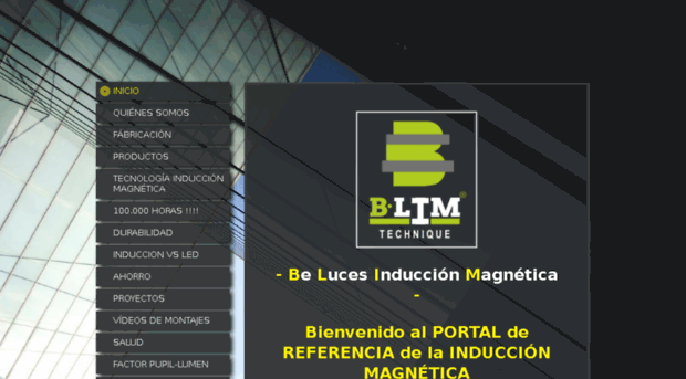 inductionmagnetic.com