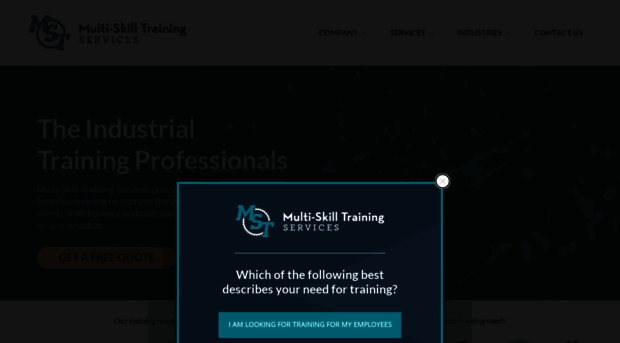 industrialmaintenancetraining.com