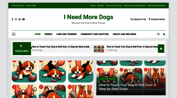 ineedmoredogs.com