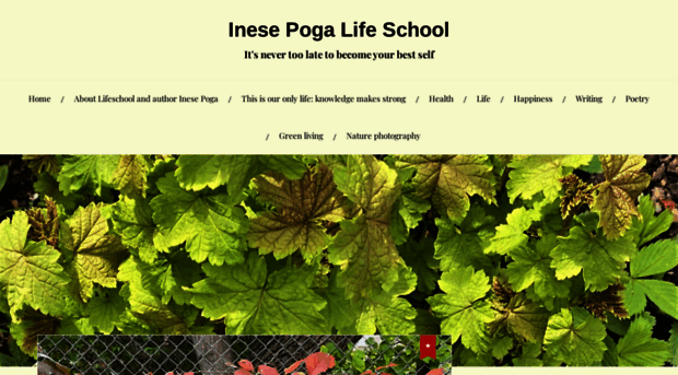 inesepogalifeschool.com