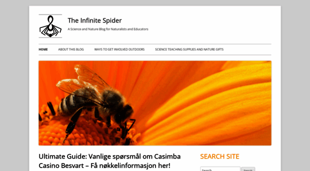 infinitespider.com