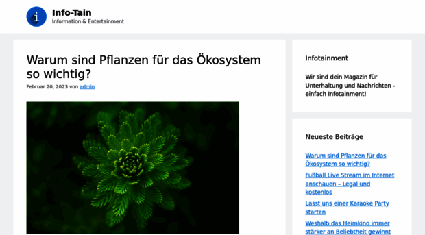 info-tain.de