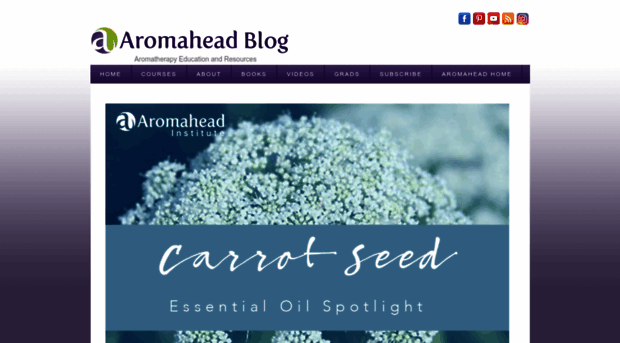 info.aromahead.com