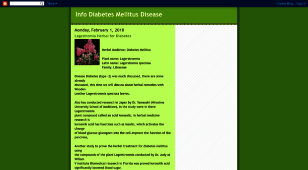 infodiabetesinternet.blogspot.com