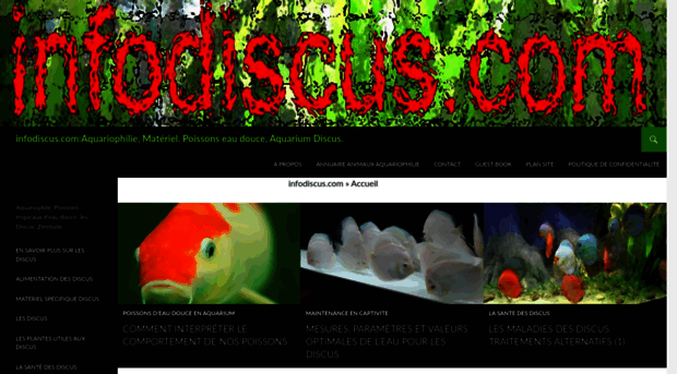 infodiscus.com