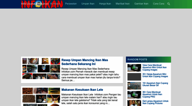 infoikan.com