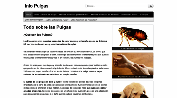 infopulgas.com