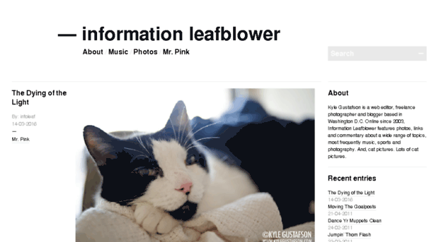 informationleafblower.com