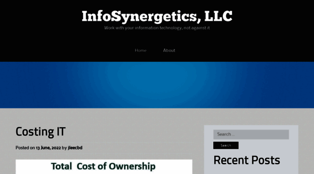 infosynergetics.com