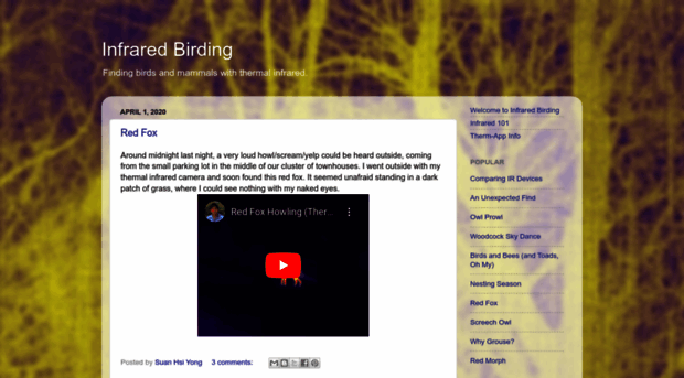 infrared-birding.blogspot.ca