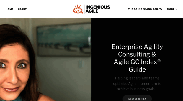 ingeniousagile.com