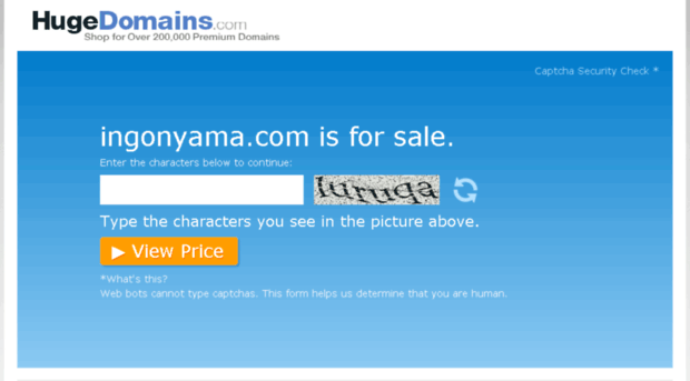 ingonyama.com