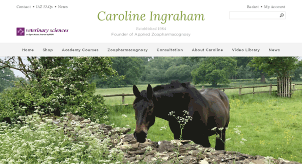 ingraham.co.uk