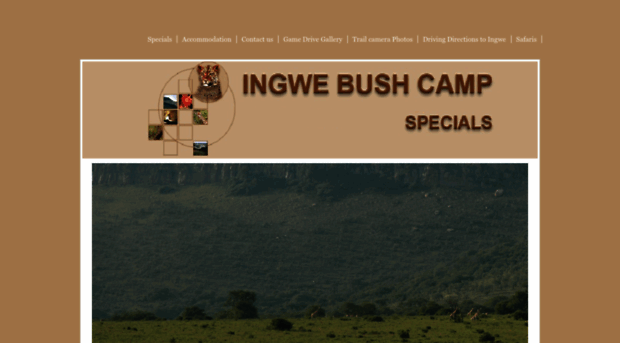 ingwebushcamp.yolasite.com