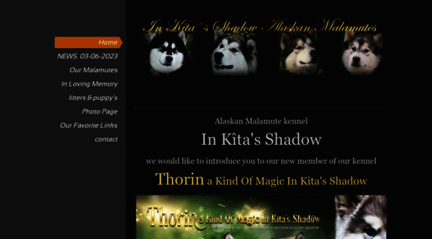 inkitasshadow.nl