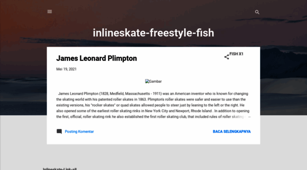 inlineskate-freestyle-fish.blogspot.com