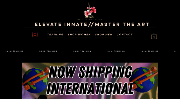 innateartistrymaster.com