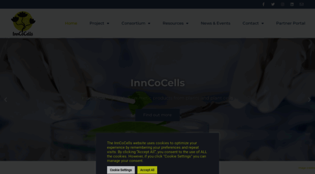 inncocells.org