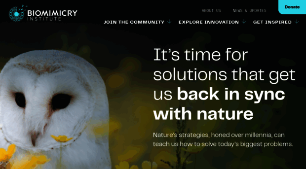 innovation.biomimicry.org