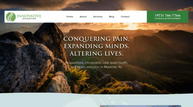 innovativeacupuncture.com