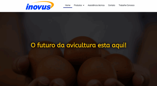 inovus.com.br