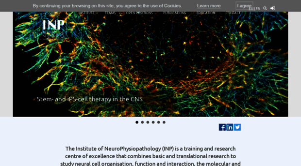 inp.univ-amu.fr