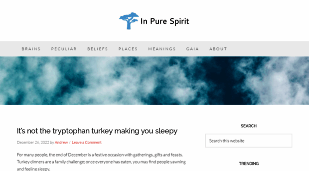 inpurespirit.com