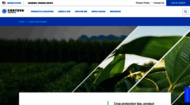 inputsandinsights.com