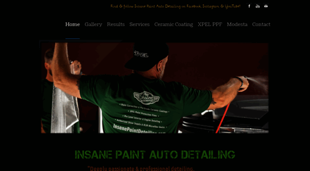 insanepaintdetailing.com