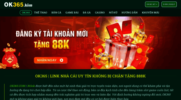 insas.com.co