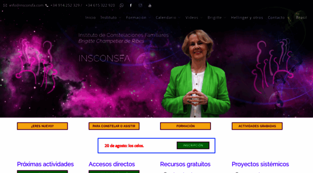 insconsfa.com