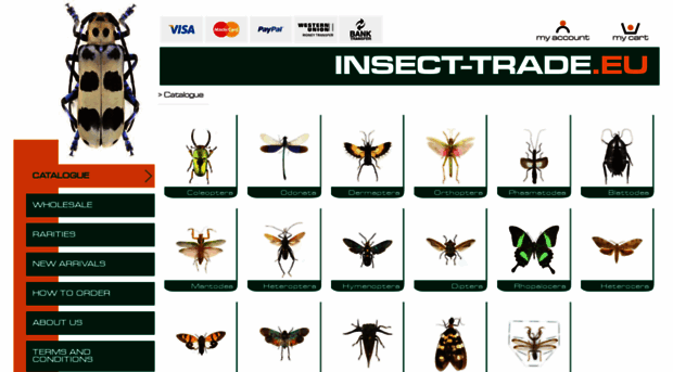 insect-trade.eu