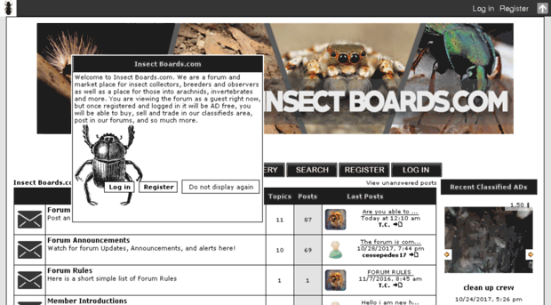 insectboards.com