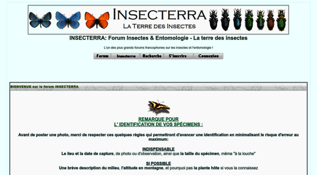 insecterra.forumactif.com